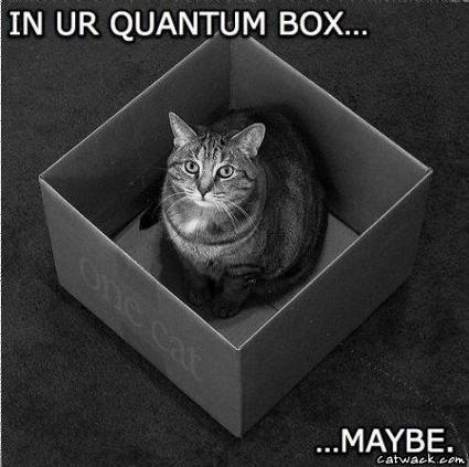 quantumcat