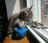 cat_with_gun
