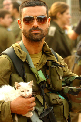soldier_kitten