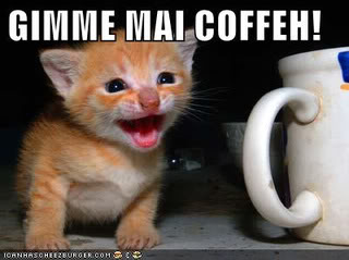 catcoffee