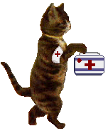 firstaidcat
