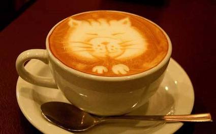 kaffekatte
