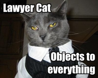 lawyercat1