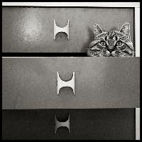 catinthedrawer