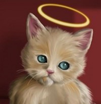 Angel-Kitty-Cute-Cat