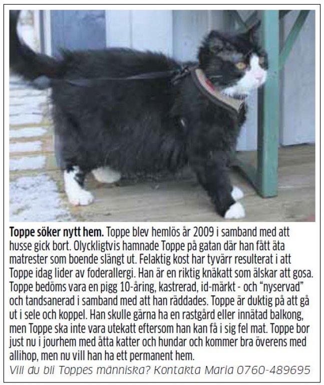 toppe