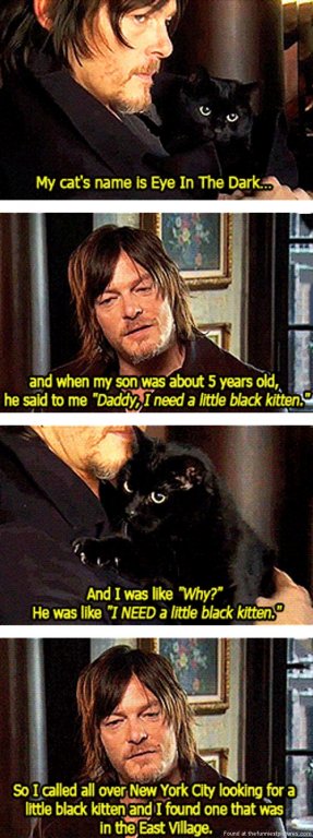 funny-Norman-Reedus-black-cat-son