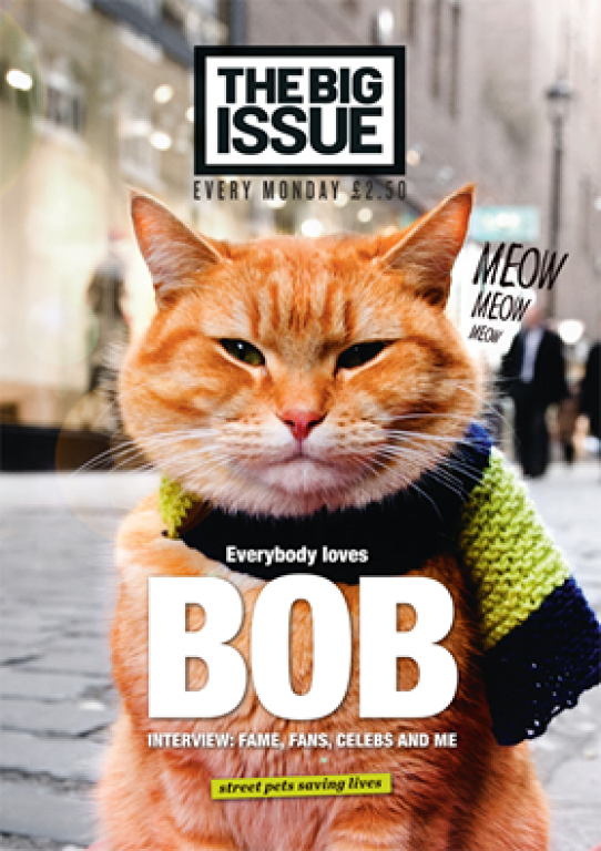 bob big issue