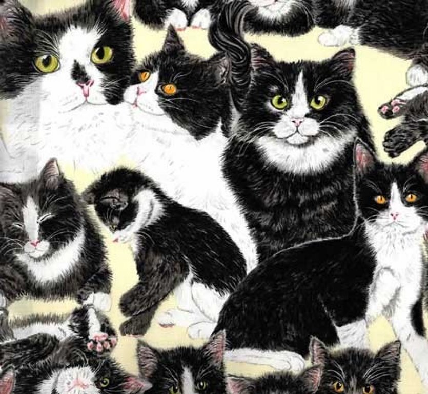 eq-60012-9_cats_all_over_tuxedo_cats_by_exclusively_quilters_1